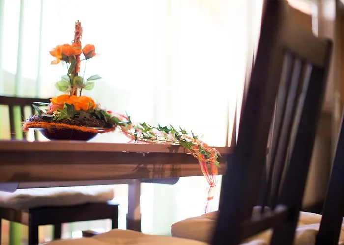 Top View Penthouse Hermann *