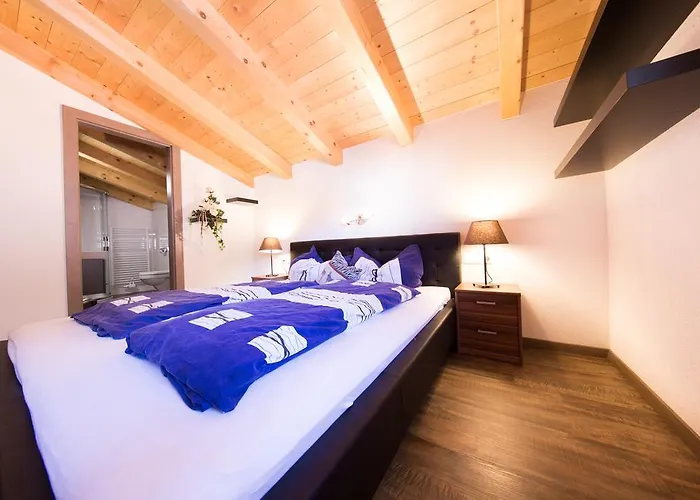 Top View Penthouse Hermann Apartment